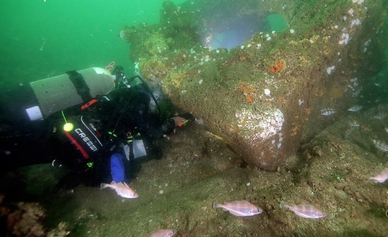 plantacao-de-algas-para-impulsionar-pesca-na-nazare
