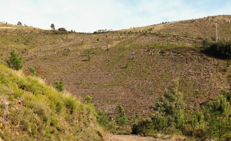 Voluntários participaram em iniciativa no fim-de-semana passado
