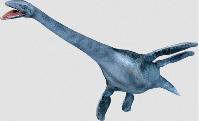 o-mais-antigo-plesiossauro-da-peninsula-foi-descoberto-em-sao-pedro-de-moel