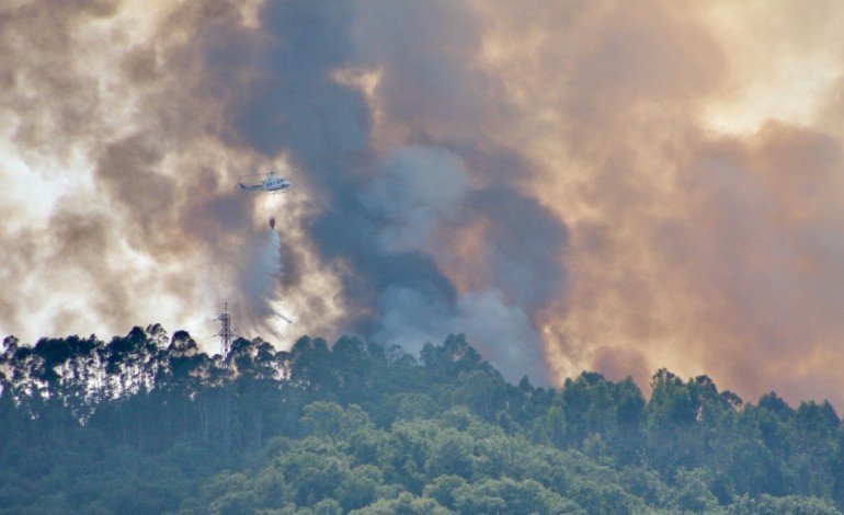 incendio-em-amor-que-mobilizou-mais-de-160-operacionais-entrou-em-fase-de-rescaldo