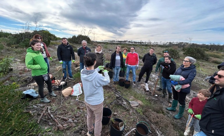 Voluntários aproveitaram a época mais propícia do ano para proceder à plantação de árvores