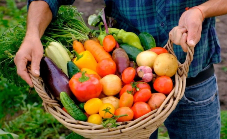 serro-ventoso-em-porto-de-mos-inaugura-mercado-rural