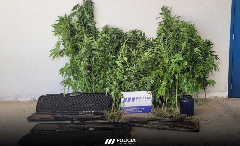suspeito-de-violencia-domestica-detido-por-cultivar-cannabis-em-leiria
