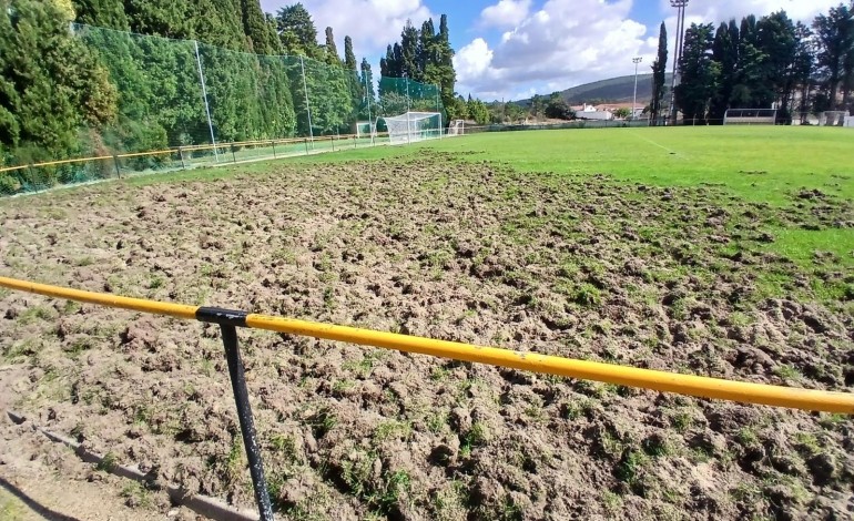 javalis-atacam-relvado-do-campo-de-futebol-de-porto-de-mos