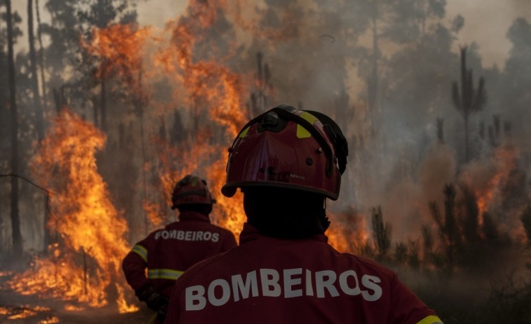 incendio-obriga-a-evacuacao-de-aldeia-de-fonte-fria-na-caranguejeira-4941