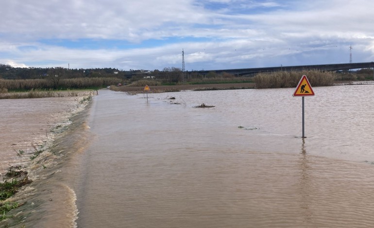 quedas-de-arvores-vias-cortadas-e-espacos-interditos-resultam-da-passagem-do-joseph-em-leiria