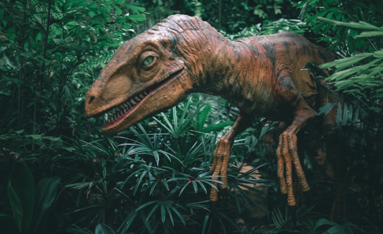 pombal-recebe-maiores-exposicoes-itinerantes-da-europa-dedicada-aos-dinossauros