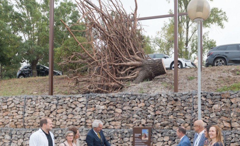Memorial Kristin evoca tempestade e homenageia profissionais