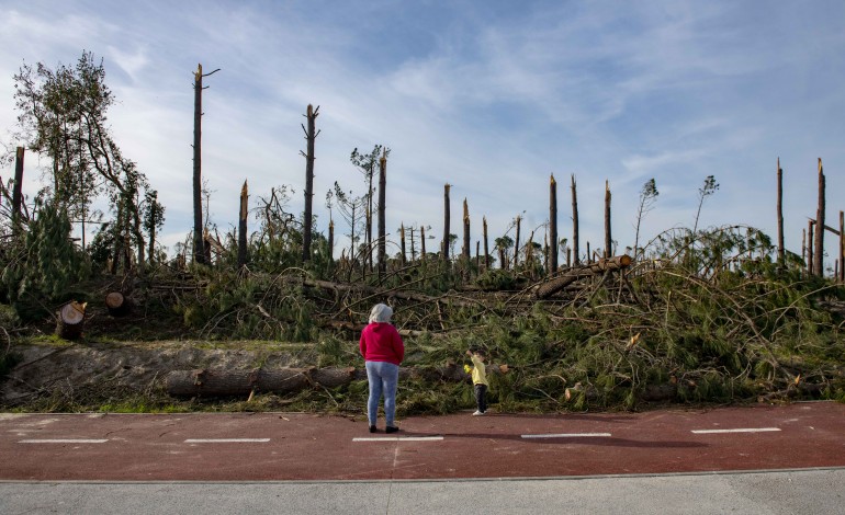 municipio-de-leiria-disponivel-para-gerir-area-integrada-da-paisagem