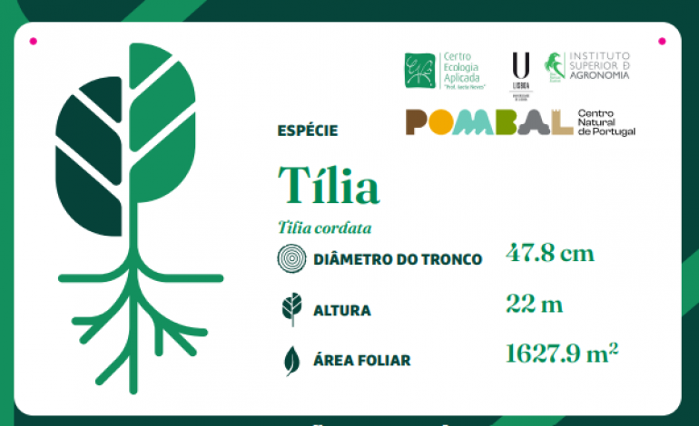 treetag-arvores-de-pombal-recebem-etiqueta-sustentavel-com-informacoes-sobre-a-especie