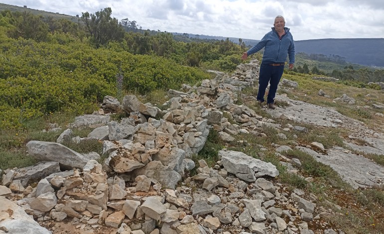 andam-a-roubar-pedra-dos-muros-tradicionais-na-serra-de-aire