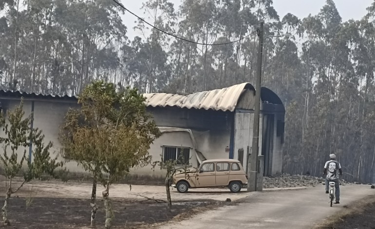 incendios-terao-consumido-cerca-de-3000-hectares-em-ourem
