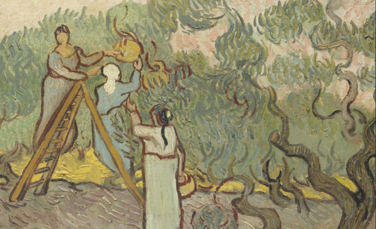 investigadores-do-ipleiria-lancam-livro-para-desenvolver-olivoturismo