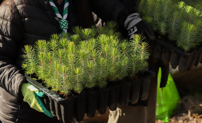 Voluntários participaram em iniciativa no fim-de-semana passado
