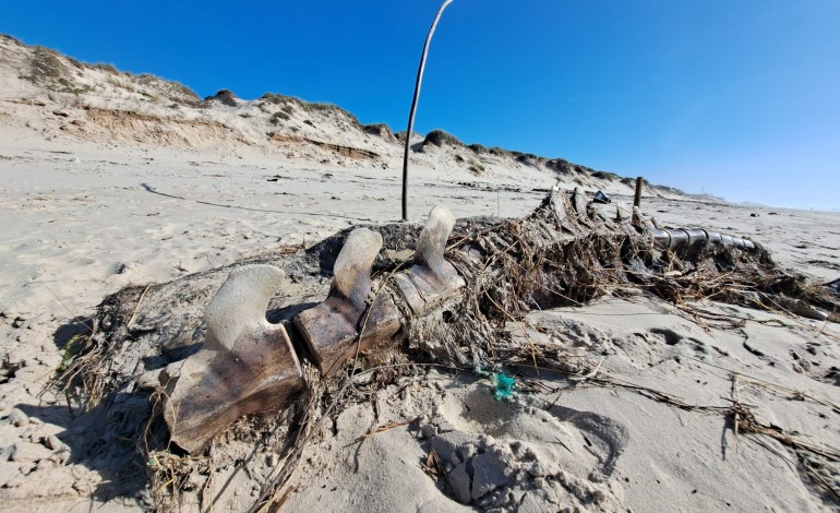 ossadas-de-baleia-encontradas-na-praia-do-pedrogao