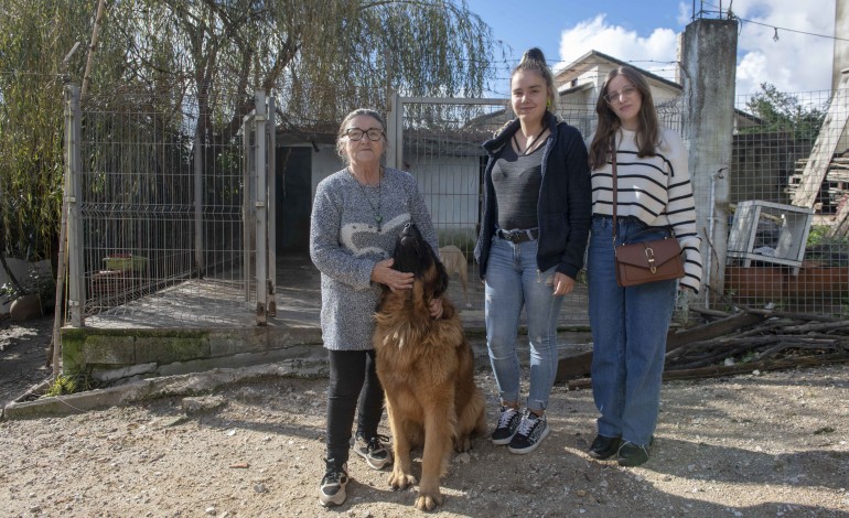 Fátima e Mariline Mota e Raquel Santos