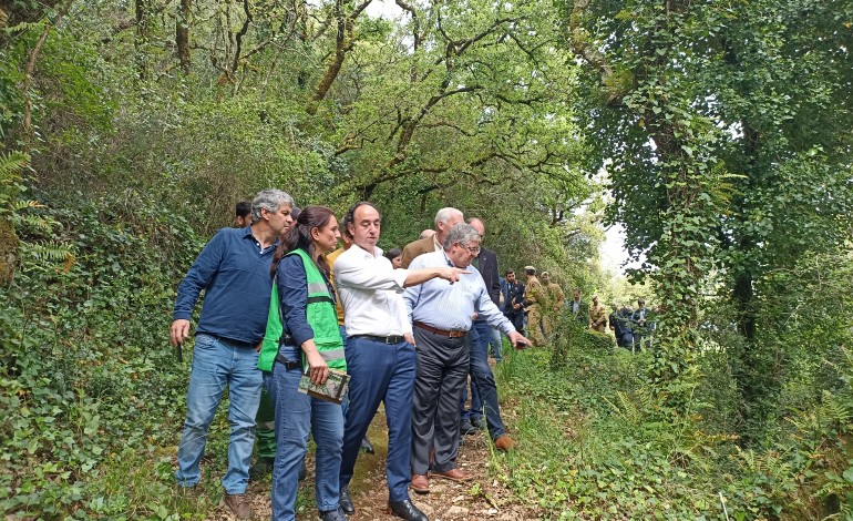porto-de-mos-quer-recuperar-carvalhal-e-transforma-lo-em-laboratorio-natural