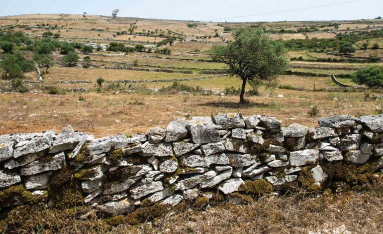 muros-de-pedra-seca-querem-ser-patrimonio-da-humanidade