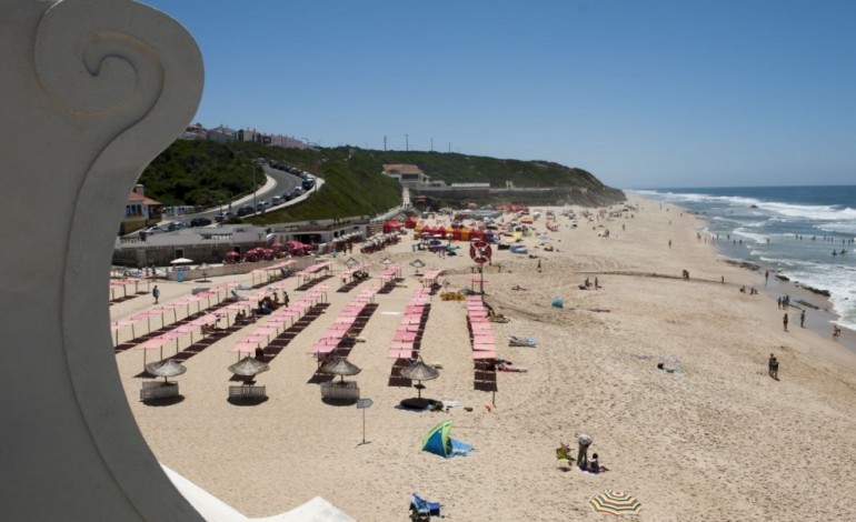 limpeza-de-praias-na-marinha-grande-assinala-centenario-da-circum-navegacao