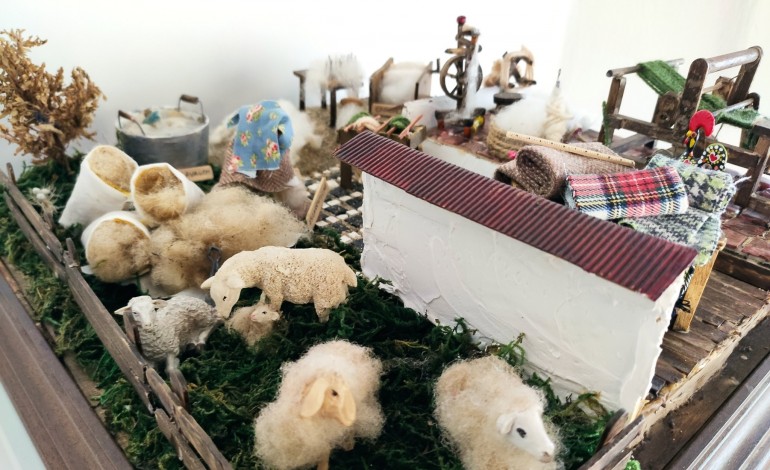 museu-de-mira-de-aire-desafia-visitantes-a-tosquiar-uma-ovelha