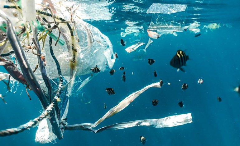 transformar-cria-na-nazare-uma-escultura-em-plastico-e-redes-recolhidas-no-mar